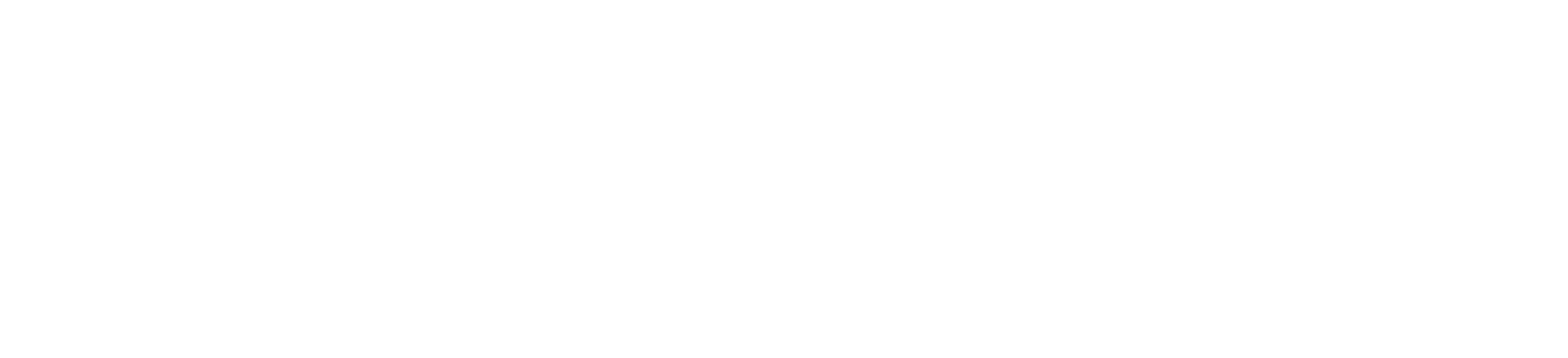 WP_Logo_White.png